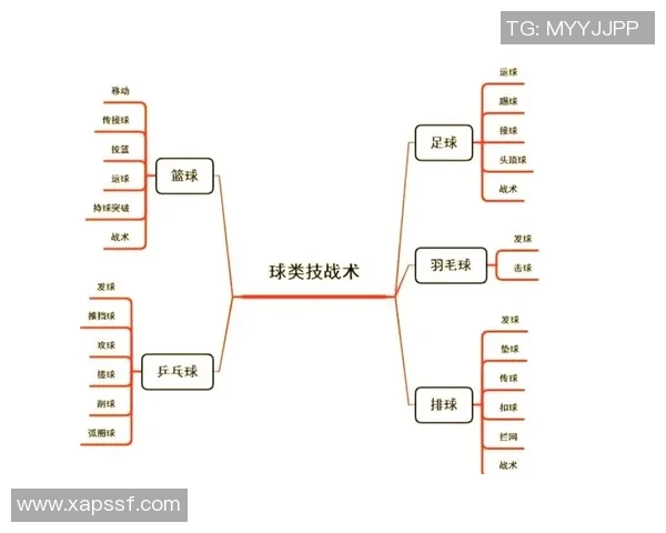 深圳排球队的战术控制与排球热点分析探讨